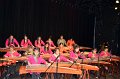 10.25.2014 Alice Guzheng Ensemble 12th Annual Performance at James Lee Community Theater, VA (11)